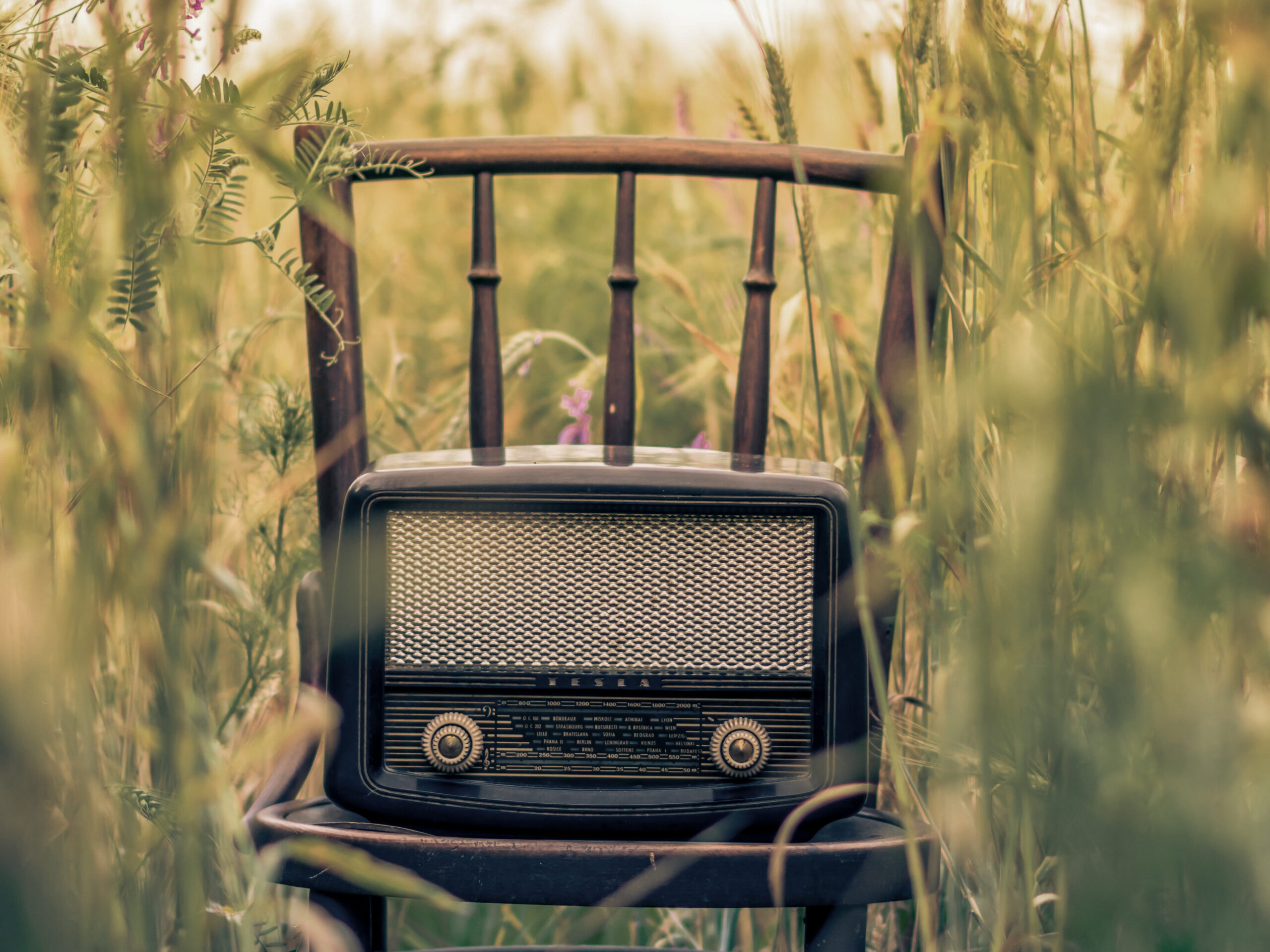 Ein antikes Radio steht auf einem Stuhl. Der Stuhl steht in einem Getreidefeld.